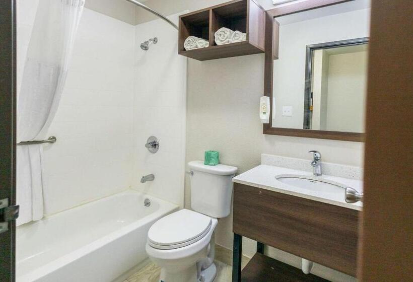 스탠다드 룸, Quality Inn