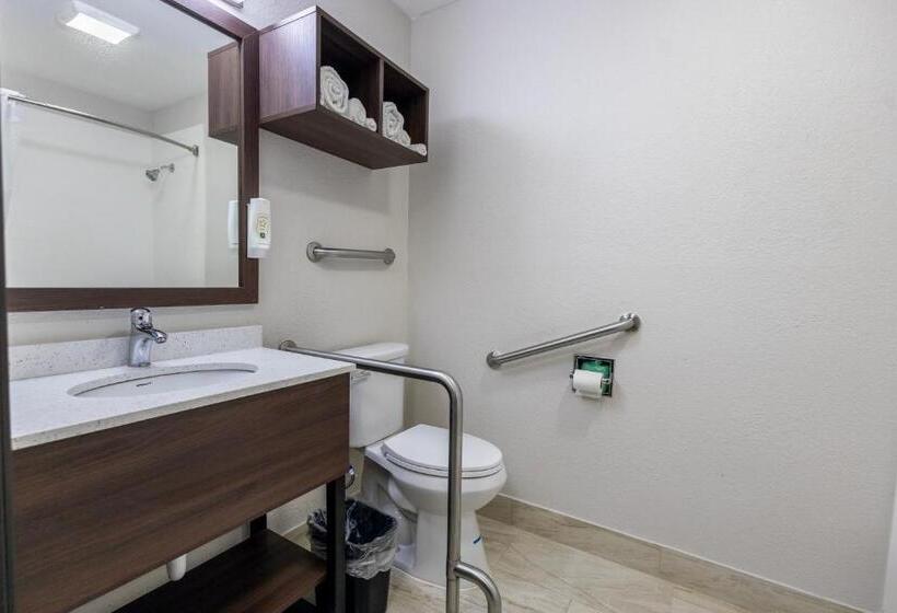 장애인을 위한 킹사이즈 침대 스탠다드 룸, Quality Inn