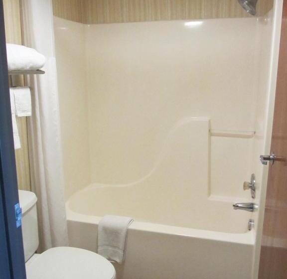 Стандартный Номер Кровать Кинг, Quality Inn Van Horn