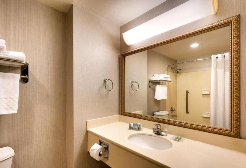 חדר סטנדרט, Best Western Downtown Phoenix
