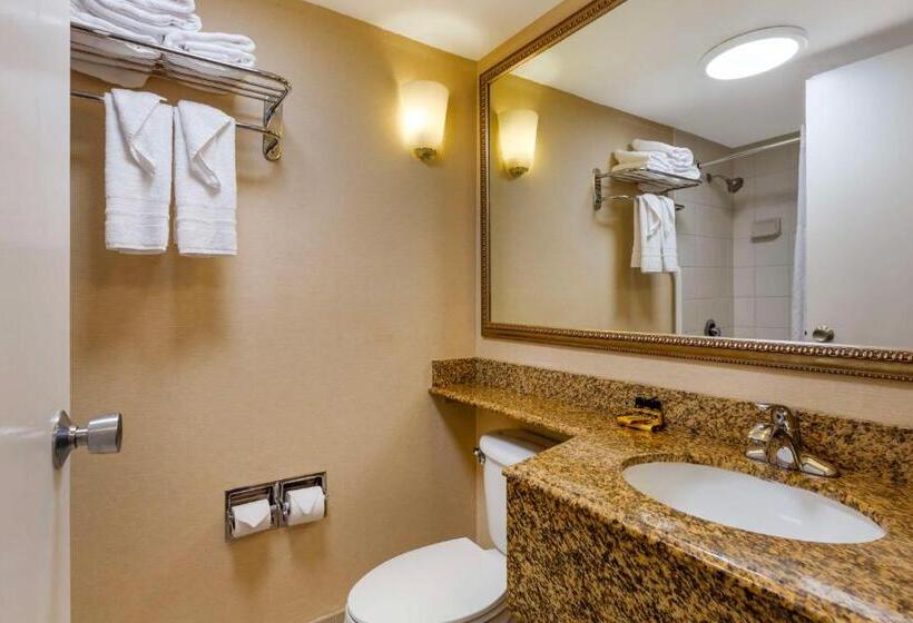 Стандартный Номер Кровать Кинг, Clarion Inn
