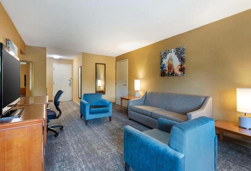 Стандартный Номер Кровать Кинг, Clarion Inn