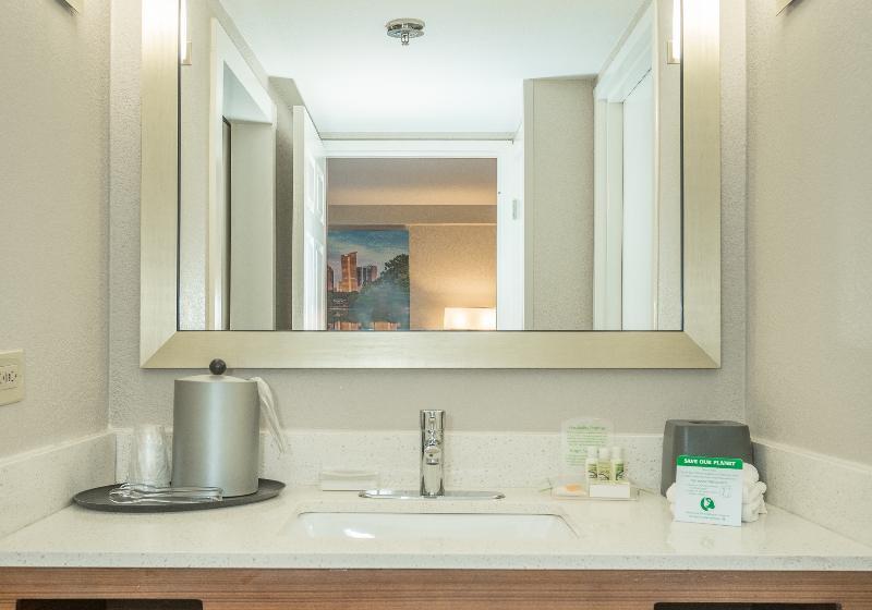 Номер Стандарт Кровать Кинг Адаптированный для Инвалидов, Holiday Inn Hotel And Suites Peachtree City, An Ihg