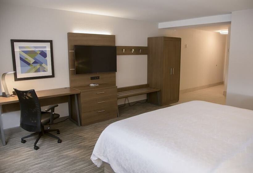 スタンダードルーム, Holiday Inn Express & Suites Colorado Springs North, An Ihg