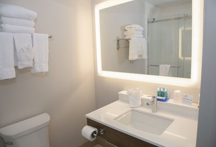 スイート, Holiday Inn Express & Suites Colorado Springs North, An Ihg