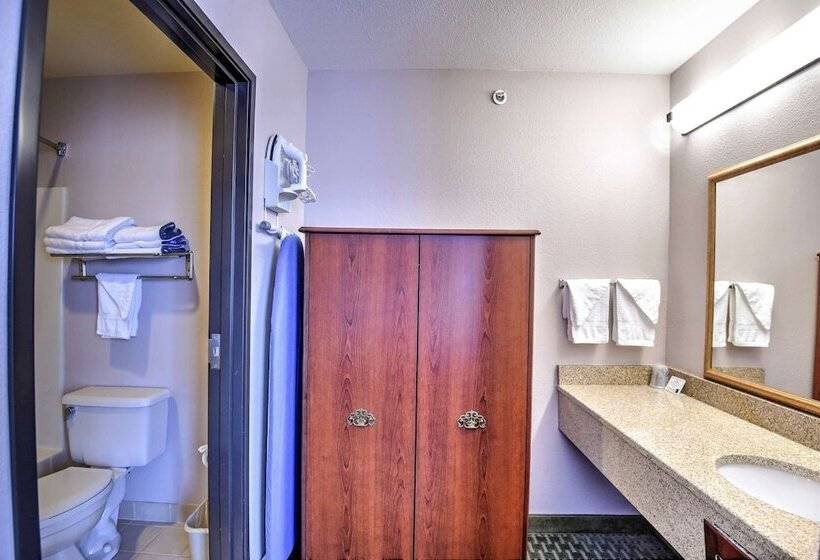 Номер Стандарт 2 Двуспальные Кровати, Surestay Hotel By Best Western Ottawa