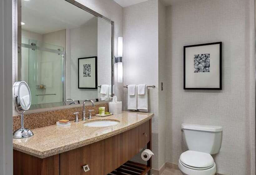 Стандартный Номер Кровать Кинг, Hilton Swinoujscie Resort And Spa