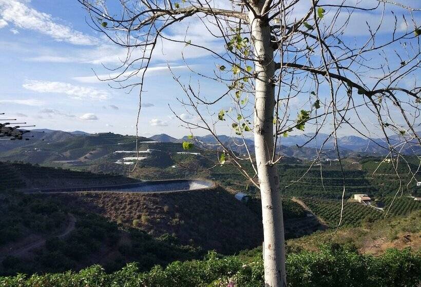 高级洋房, Camping Iznate