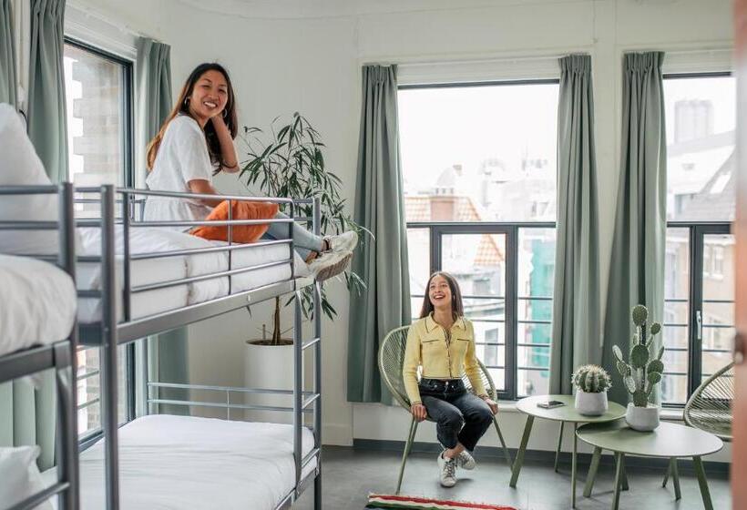 공동 객실, Pink Flamingo Boutique Hostel
