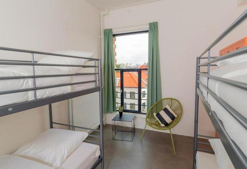 공동 객실, Pink Flamingo Boutique Hostel