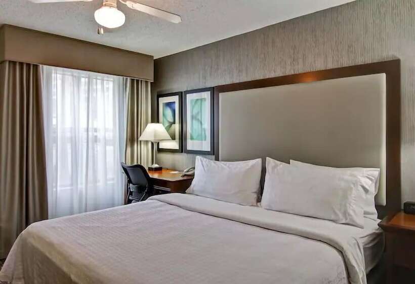 Suite, Poplar Inn And Suites