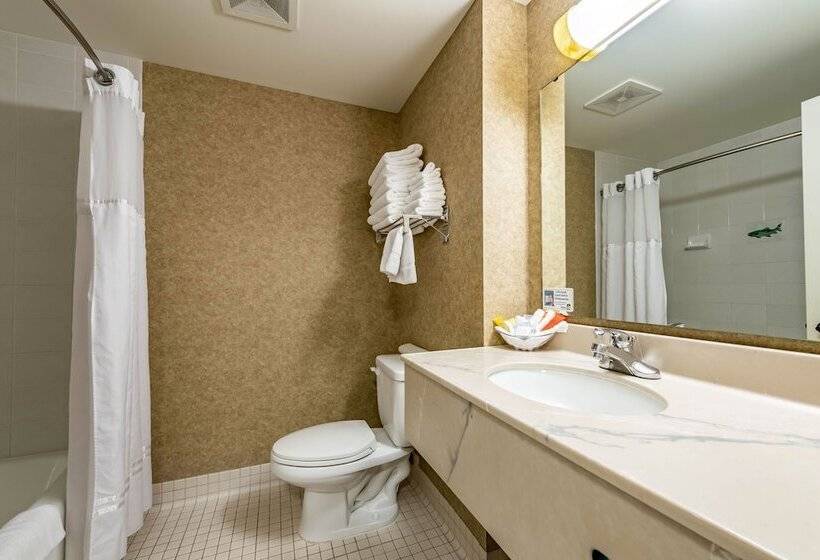 Номер Стандарт, The Inn At Gig Harbor