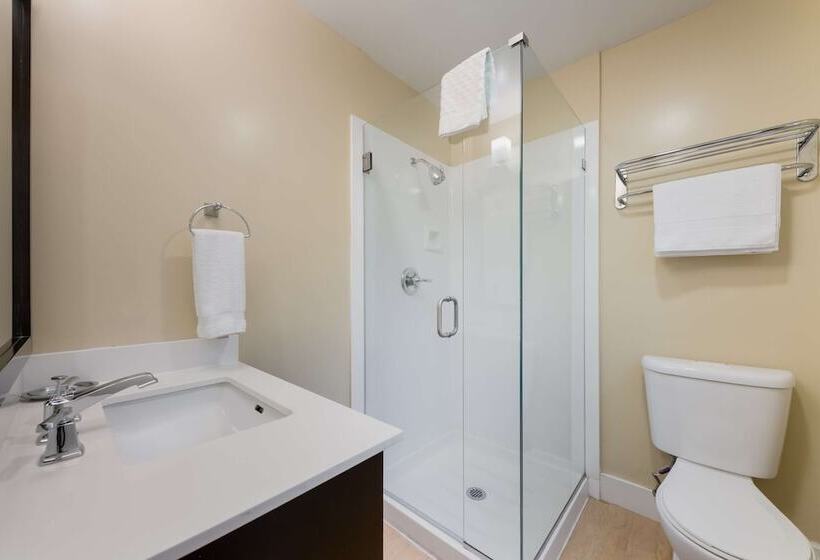 Номер Стандарт 2 Двуспальные Кровати, Best Western The Inn Of Los Gatos