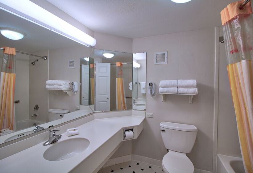 חדר סטנדרט שתי מיטות זוגיות, La Quinta By Wyndham Orlando I Drive/conv Center