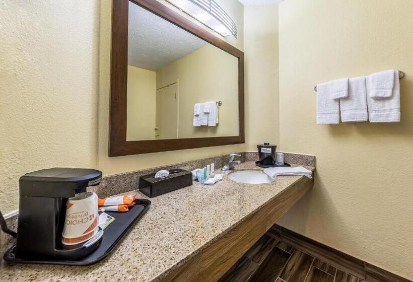 스탠다드 룸 더블 침대 2개, Quality Inn Clemson Near University