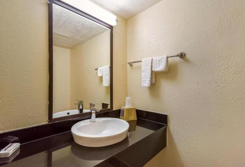 带2个双人床的标准工作室, Red Roof Inn Plano