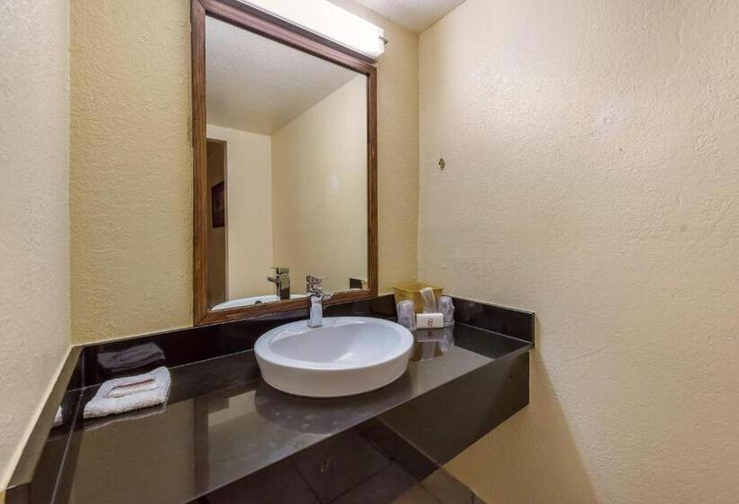 高级大房间, Red Roof Inn Plano