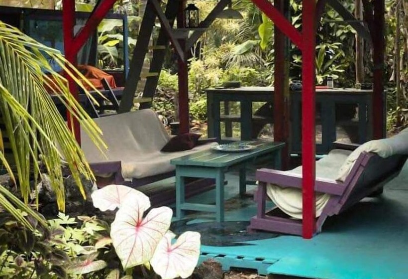 공동 객실, Cinderland Ecovillage   Hostel