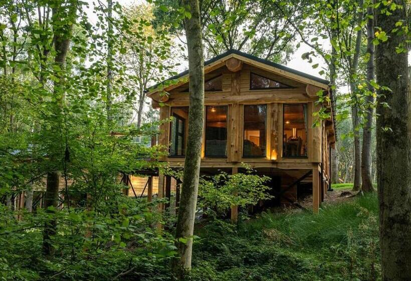 Дом 3 Спальни, Woodland Park Lodges