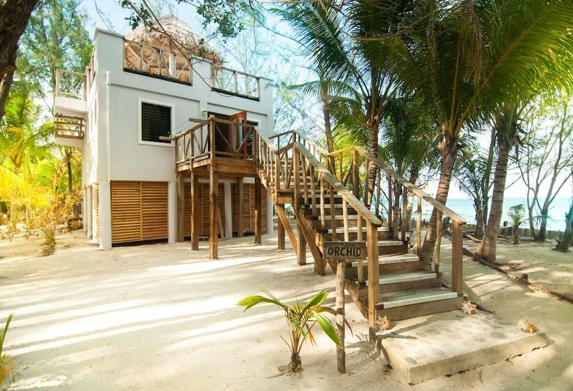 Хижина, Thatch Caye, A Muy Ono Resort