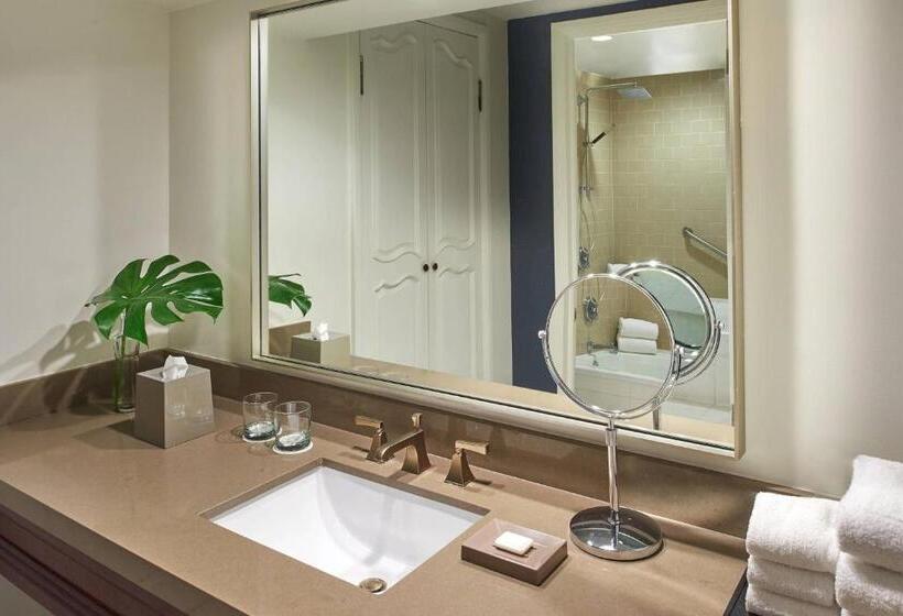 带大床的标准间, Colonnade Coral Gables, Autograph Collection