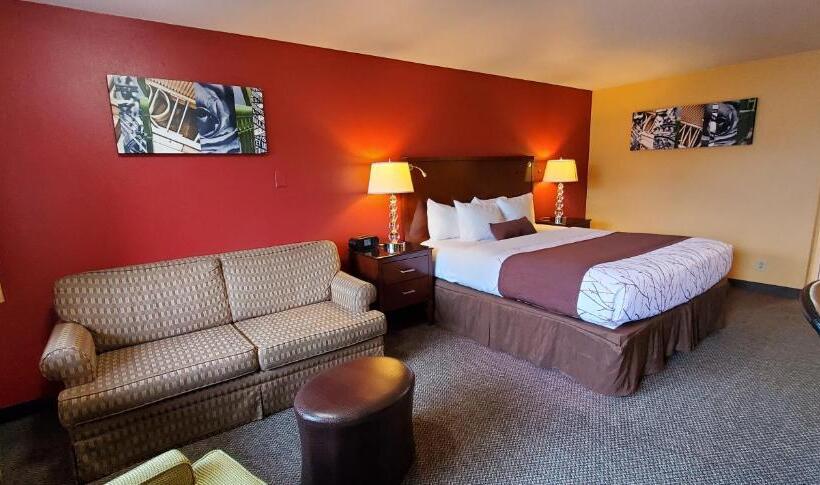 스탠다드 룸 킹사이즈 침대, Olympic Inn & Suites