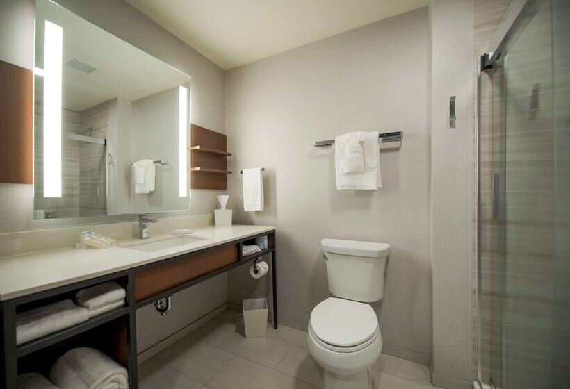 Номер Премиум, Hilton Garden Inn Wausau
