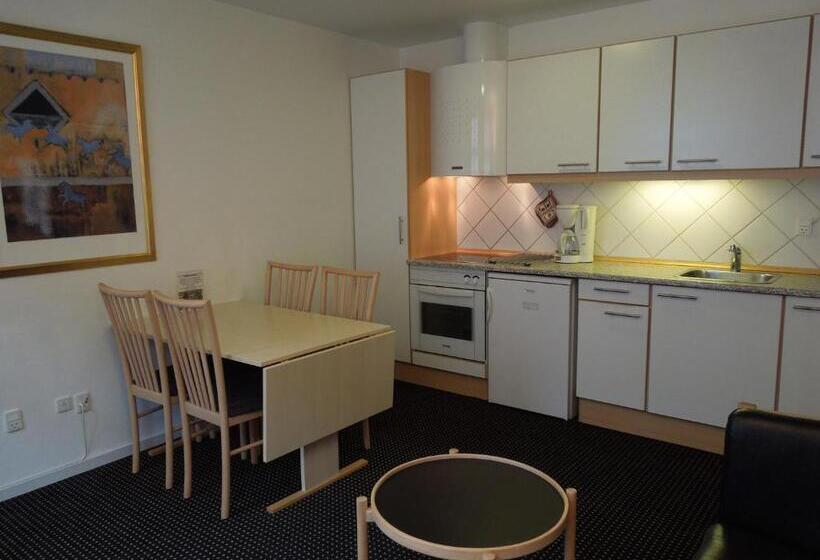 Апартаменты 1 Спальня, Aarhus City Apartments