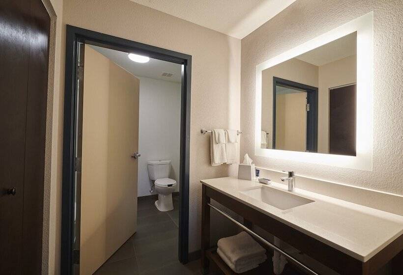Люкс 2 Спальни, Four Points By Sheraton Clevelandeastlake
