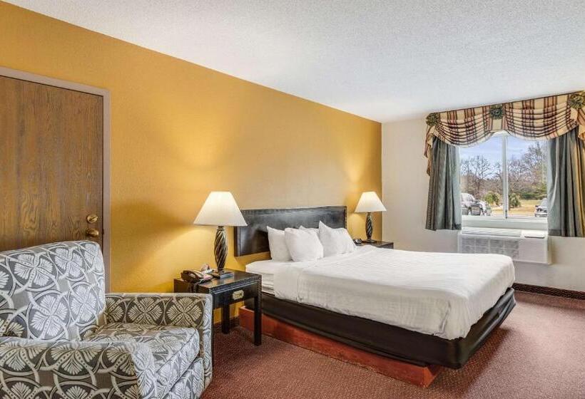 Номер Стандарт Кровать Кинг Адаптированный для Инвалидов, Econo Lodge Whitehall Near Michigan S Adventure