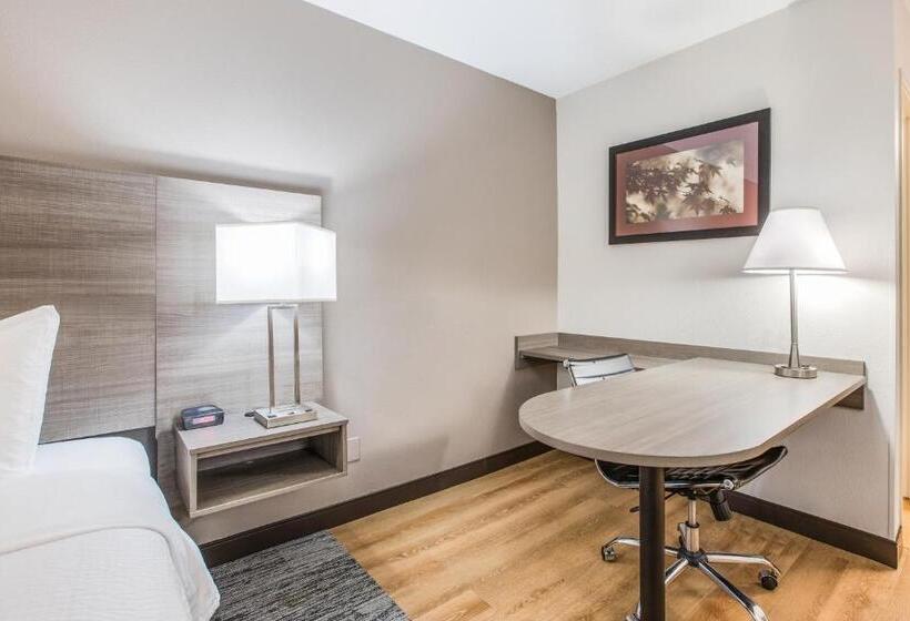 Номер Superior Кровать Кинг, Red Roof Inn Lansing West  Msu