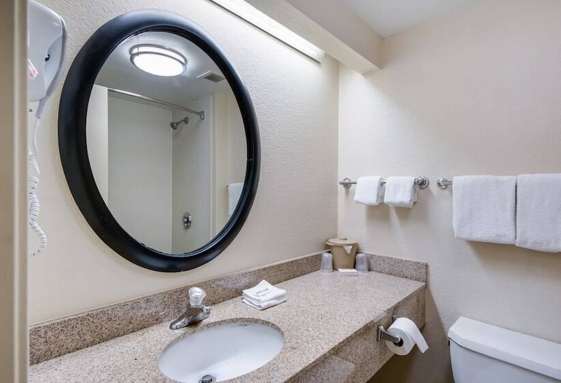 Номер Deluxe, Red Roof Inn Laredo