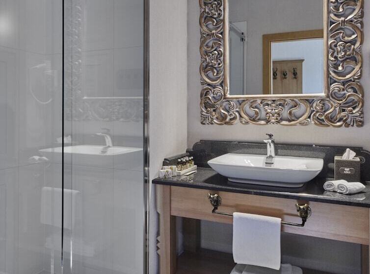 スイート, Aries Hotel & Spa Wisła
