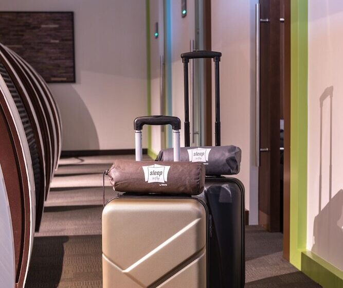اتاق استاندارد یک نفره, Sleep  N Fly Sleep Lounge, A Gates Terminal 3   Transit Only