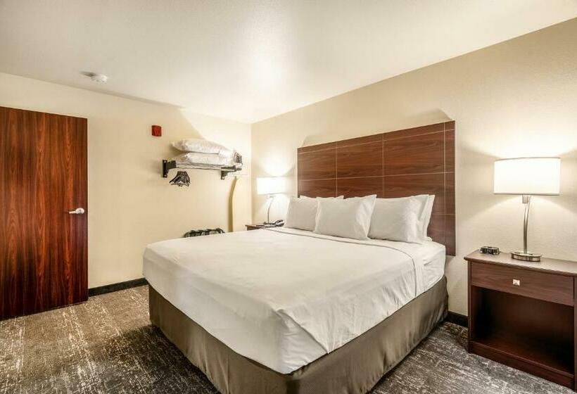 סוויטה, Cobblestone Hotel & Suites   Andrews