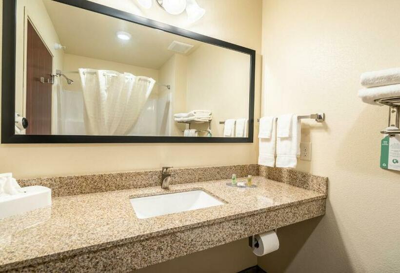 סטודיו סטנדרט, מיטה זוגית, Cobblestone Hotel & Suites   Andrews