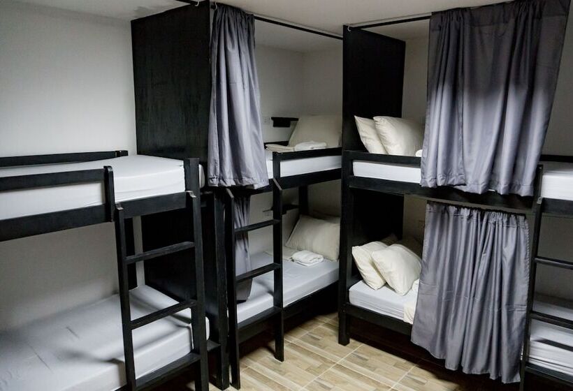 공동 객실, Crazy Bears Hostel