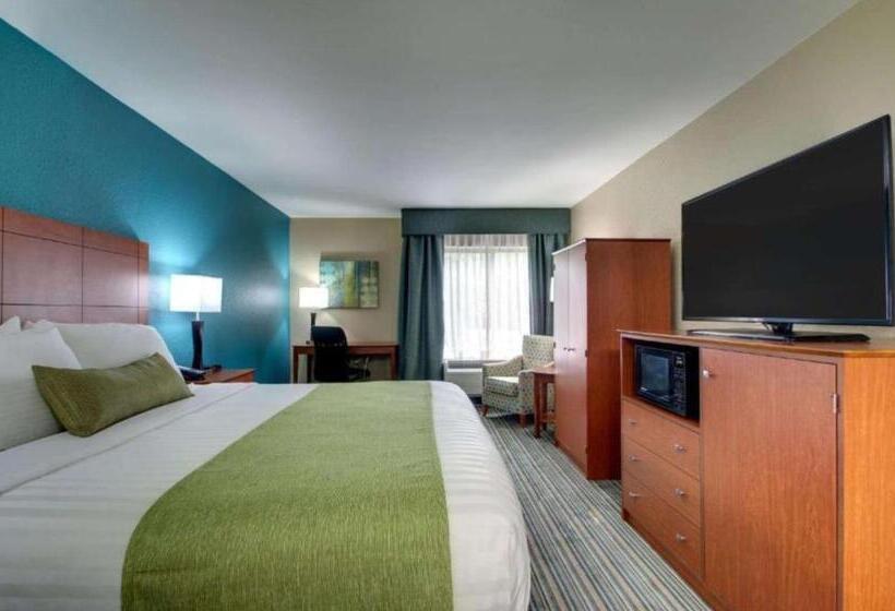 스탠다드 룸 킹사이즈 침대, Best Western Eagles Inn