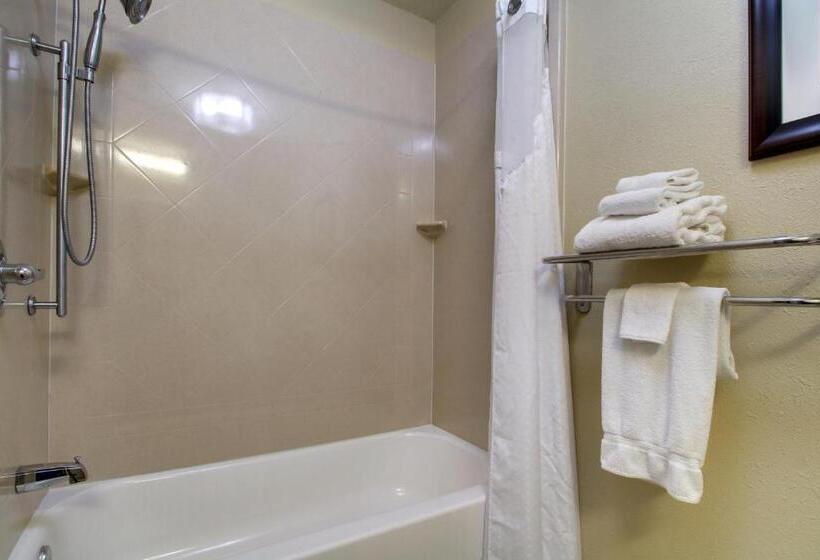 장애인을 위한 킹사이즈 침대 스탠다드 룸, Best Western Eagles Inn