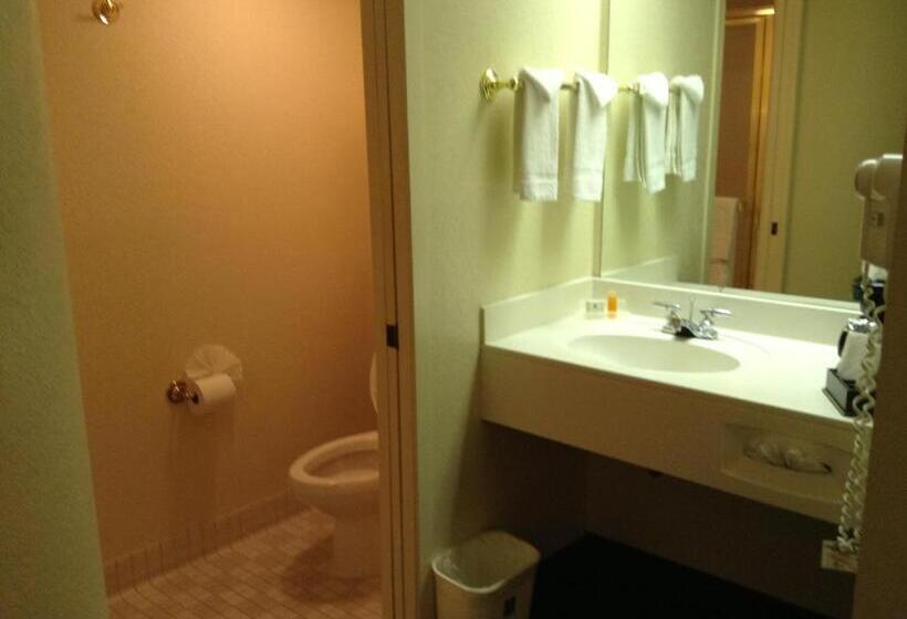 Номер Deluxe, Econo Lodge Denver International Airport