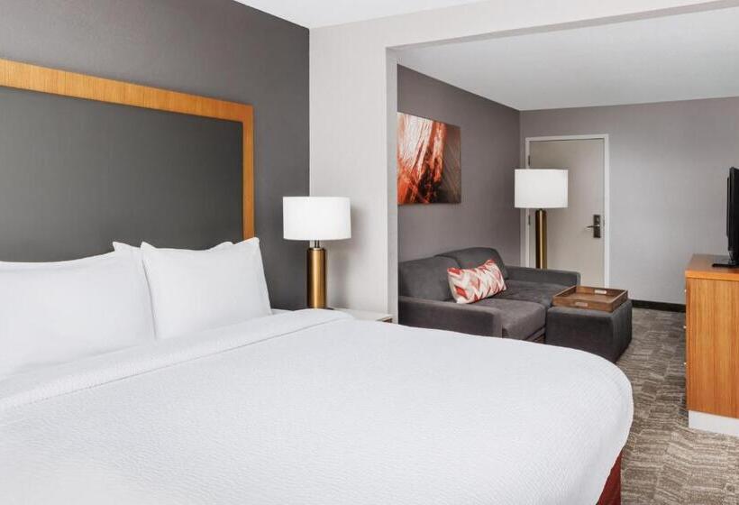 Студио Стандарт Кровать Кинг, Springhill Suites Providence West Warwick