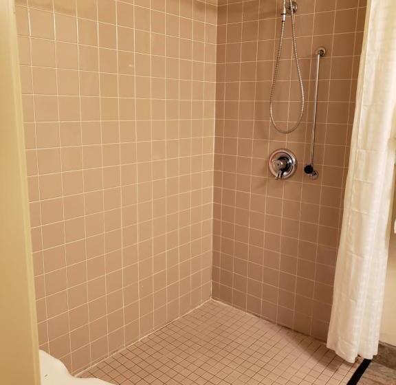 Номер Стандарт, Cobblestone Inn & Suites  Merrill