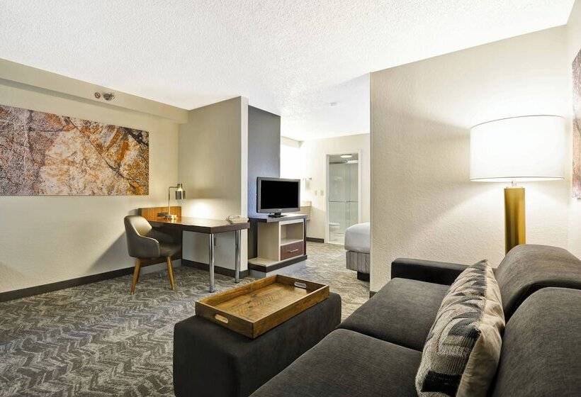 Люкс, Springhill Suites By Marriott San Antonio Medical Center/northwest
