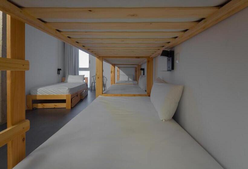 共用房间的床, Ekoos Hostel, Bilbao Eko Hostel