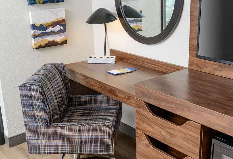 장애인을 위한 스탠다드 룸, Hampton Inn Simpsonville