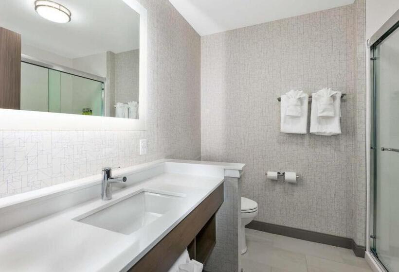 Номер Стандарт, Holiday Inn Express & Suites   Grand Rapids Airport   South, An Ihg