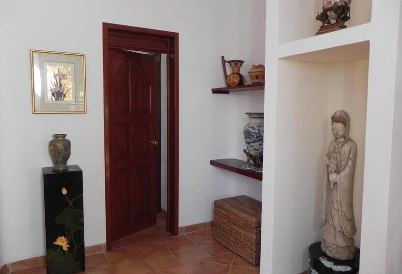 آپارتمان 1 خوابه با بالکن, Casa Gatos