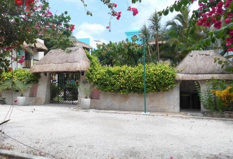 سوئیت با تخت بزرگ, Casa Gatos