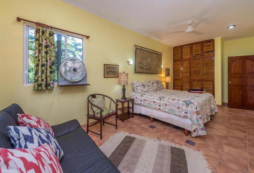 آپارتمان لوکس 1 خوابه, Casa Gatos