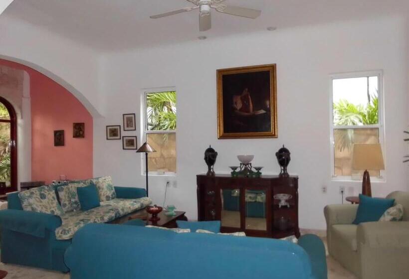 سوئیت با تخت بزرگ, Casa Gatos